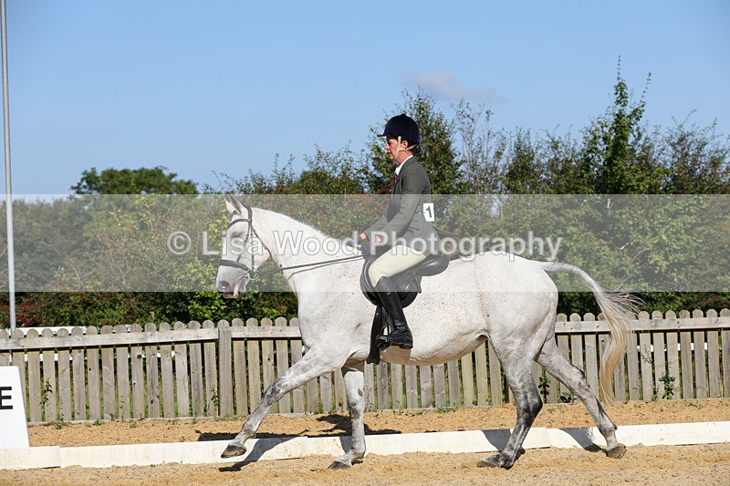 1X9A7798 - Class 9: Open Ridden Hunter