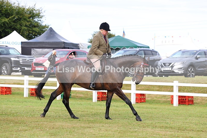 3E7A8012 - Class 2: Rising Star Large Hack/Riding Horse