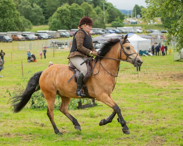Dunblane show-459 - Dunblane and Doune Show Ring 1