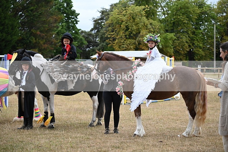 WJ6_9229 - Class 11 Fancy Dress