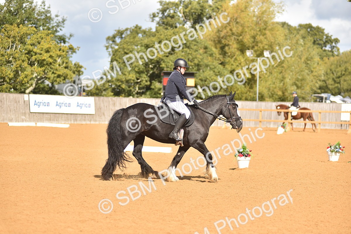 SBM_03013 - D4 - Small Tour Championship Intro 4