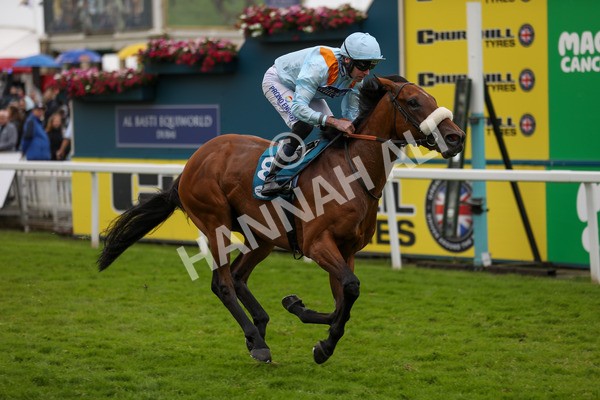 150624-Race 5-The Strikin Viking-6203 - Race 5 4.10pm Reg Griffin Appreciation ebfstallions.com Maiden Stakes