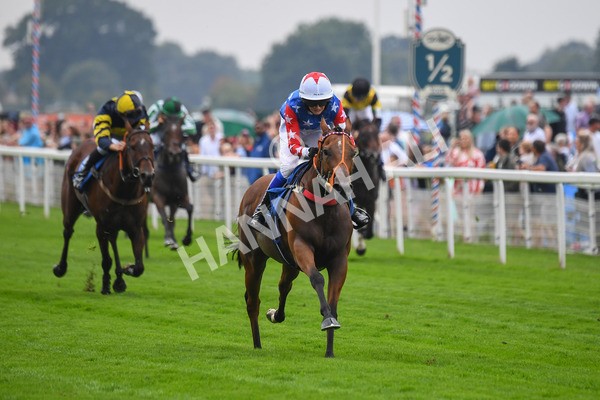 100923-Pony Race 1-Seal The Deal-0083 - Pony Race 1 12.25 The Dragon (TV and Film) Studios Pony Race 148cm & Under
