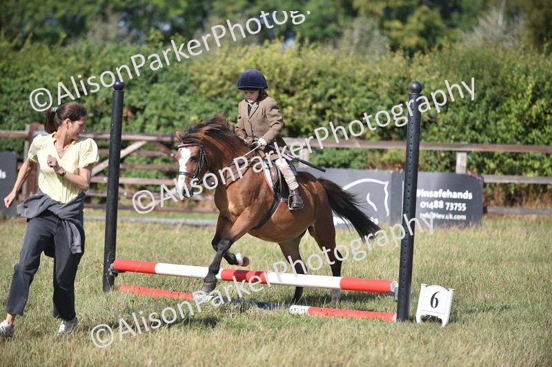 20260906-0991 - Class 7 - Absolute Novice Jumping 35cm