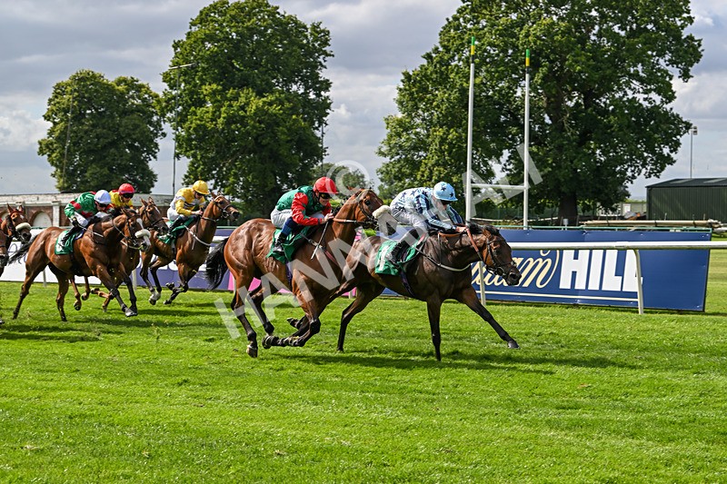 030824-Race 4-Cerulean Bay-1737 - Race 4