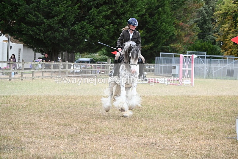 WJ6_9703 - Class 12 Minimus Jumping 45cm