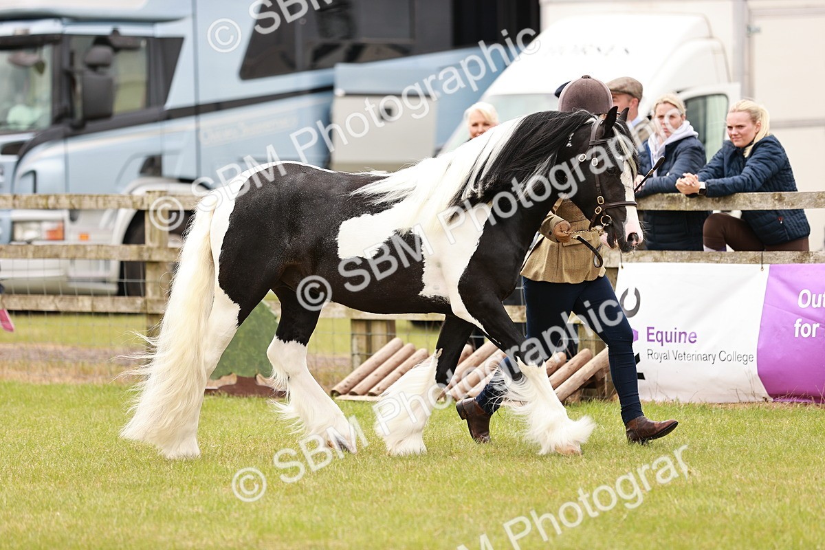 SBM_04593 - Class 5-8 - BSPA In hand