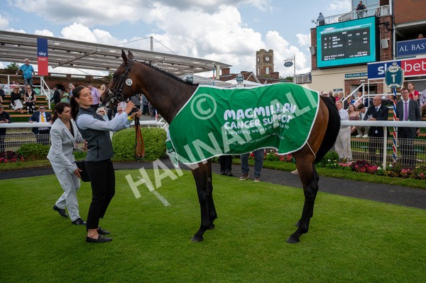 140625-Race 1-Humam-9394 - Race 1 1.50pm Doug Johnston Memorial Ubettabelieveit Macmillan Handicap