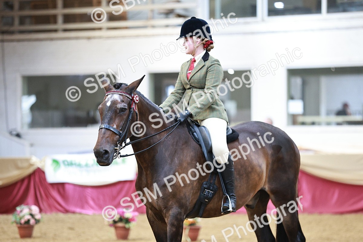 SBM_07238 - Class 10R - Regional Ridden Diamond