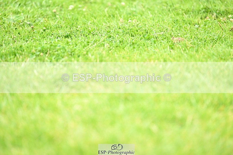 240705-132423-11134 - Cls 17 Newcomers 2nd Round