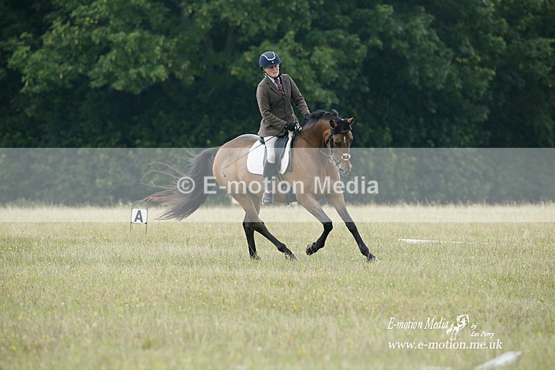 BVRC 030721 588 - Bourne Valley Riding Club Dressage 03/07/21