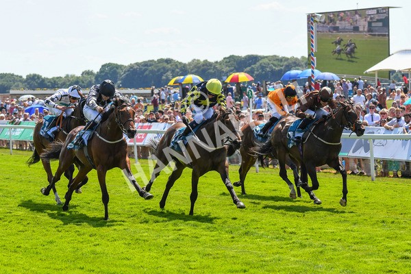 160623-Race 2-Celestial Flight-0299 - Race 2 2.25pm SKF Rous Selling Stakes