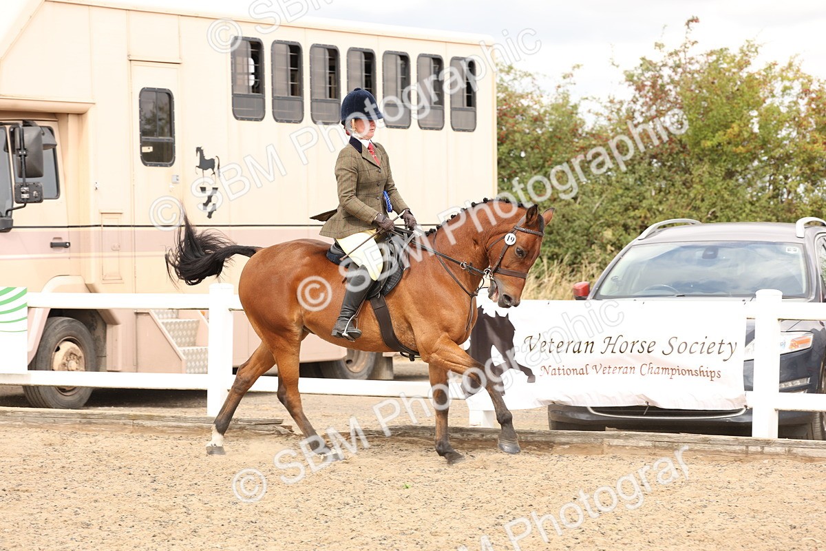 SBM_05180 - Class 56a -  Style & Performance - 50cm (15-19)