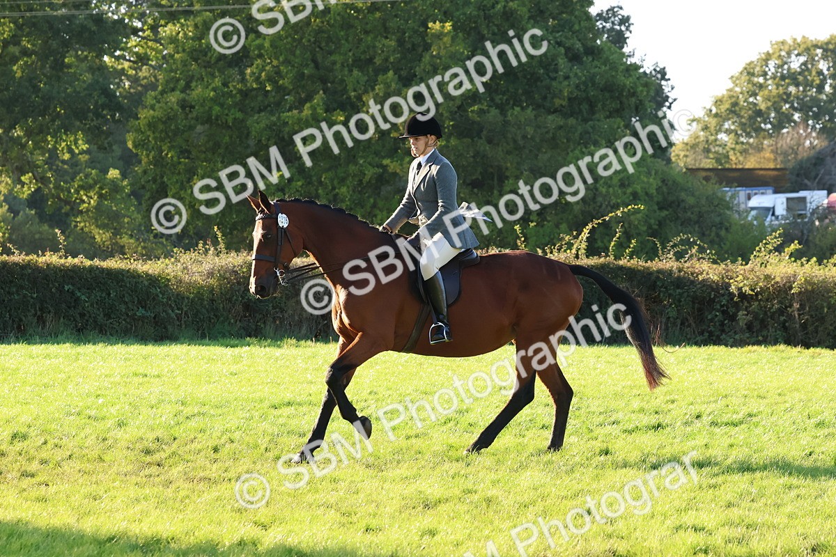 SBM_53018 - S29 - Mature Veteran Ridden