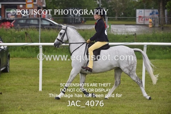 JAC_4076 - 40CM WORKING HUNTER