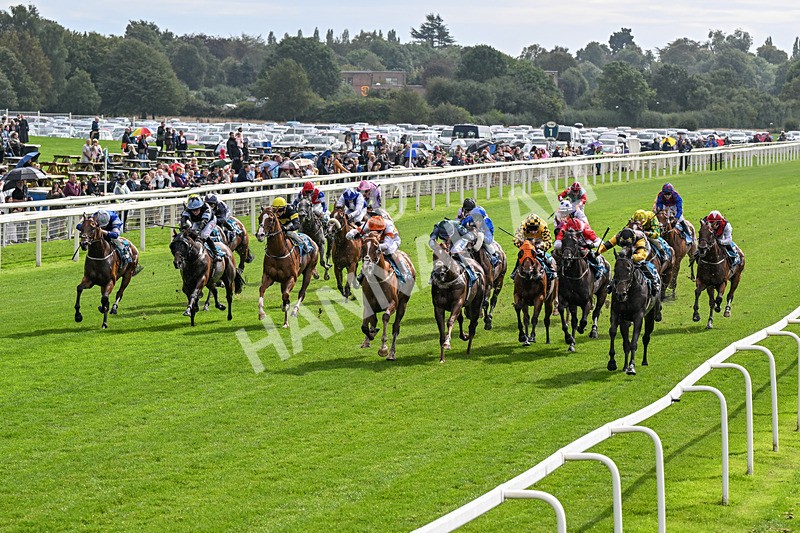 060926-Race 2-Oriental Prince-0093 - Race 2 2.05pm Fine Details Car Valeting Sprint Handicap