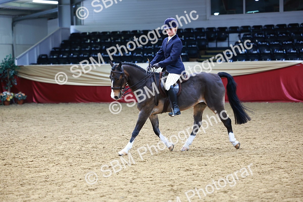 SBM_23464 - Class 904 - Supreme Final - Ridden Diamond