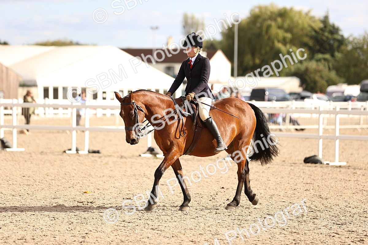 SBM_18236 - Class 423 - Equitation (best rider) Adult
