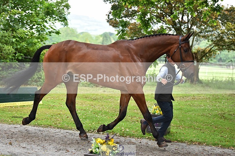 240522-171500-01481 - 256-QUINTUS-Tom_McEwen