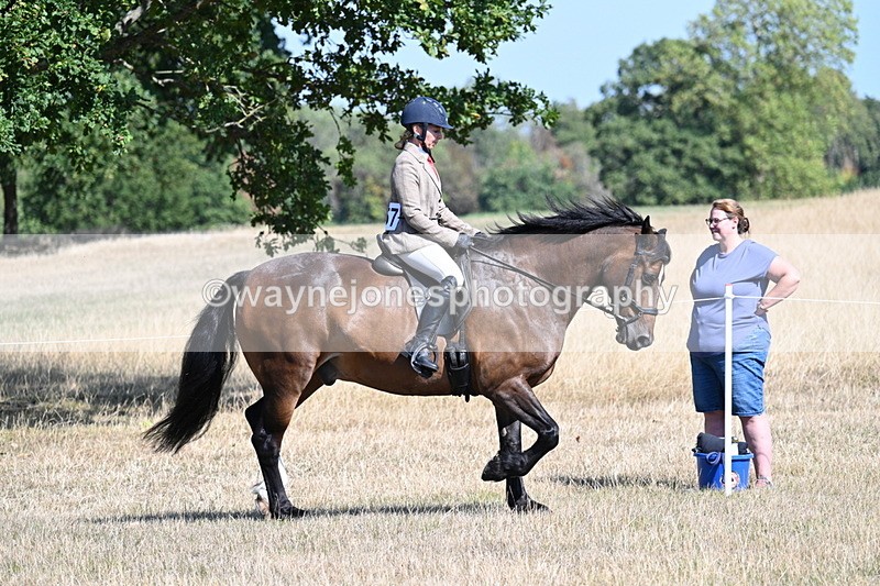 WJ7_3896 - Class 9 Mountain & Moorland Ridden