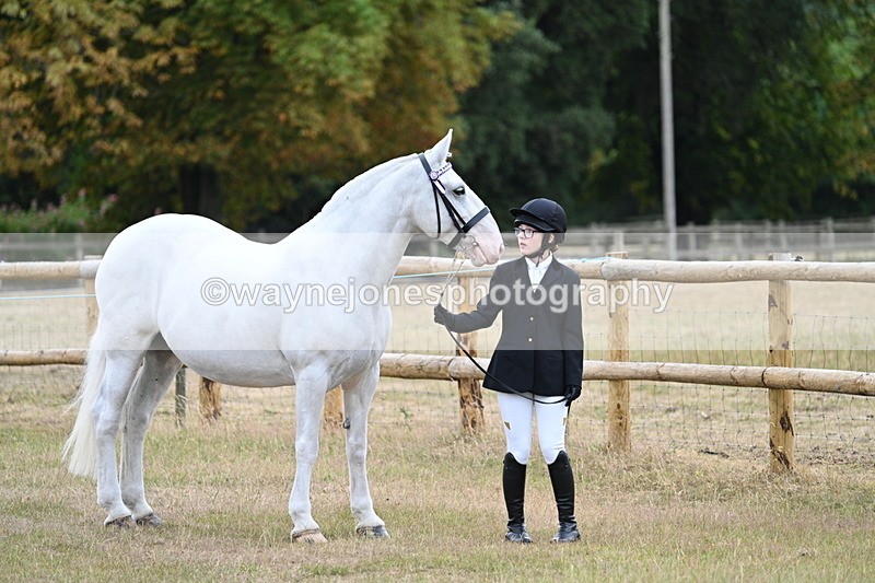 WJ7_8855 - Class 4a Prettiest Mare 14.2hh and over