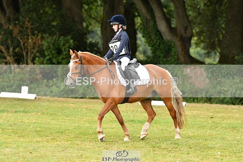 250820A-124238-05647 - 12 to 13.00