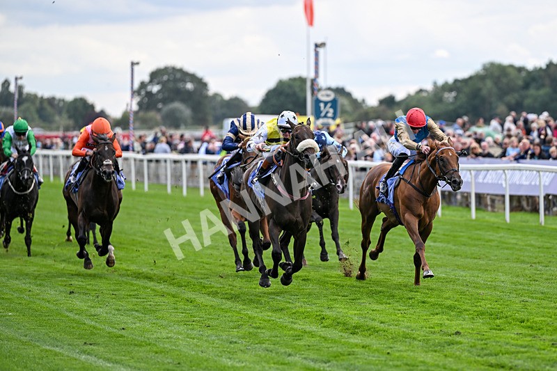 210826-Race 3-Arapaho Gold-5745 - Race 3 15.00pm Al Basti Equiworld Dubai Gimcrack Stakes