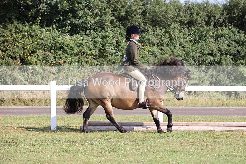 JPP_0676 - Class 16: Cornish Combination Young Rider