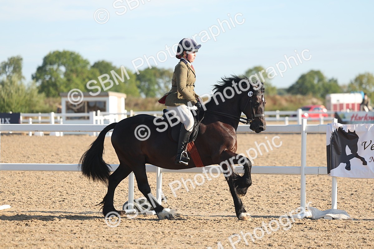SBM_10989 - Class 302 - Ridden M&M Large Breeds