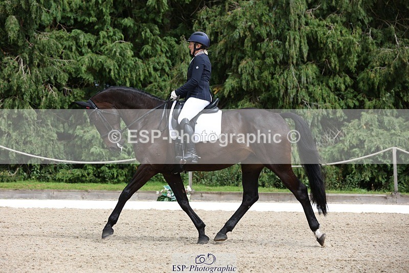 230812-152329-05120 - Cls 5 Novice Bronze 15.00 to End