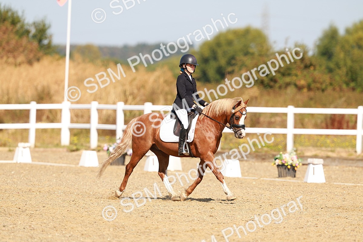 SBM_017584