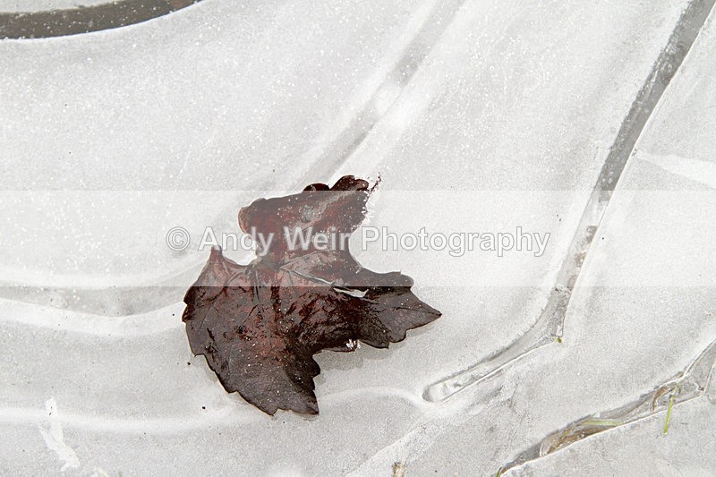 20121202-_MG_1755 - England