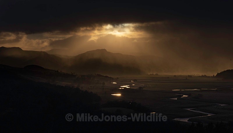 CAIRNGORM LANDSCAPE 2025 7 - Latest projects, Cairngorms Deer, Boxing Hares, Landscapes...North Wales, Birds