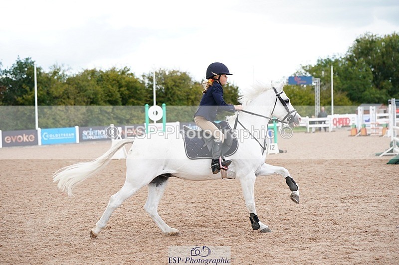 250921-154106-04160 - Cls 31 Stepping Stones