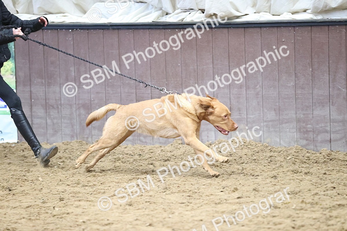 SBM_001314 - Class 3 - Horse & Hound 60cm