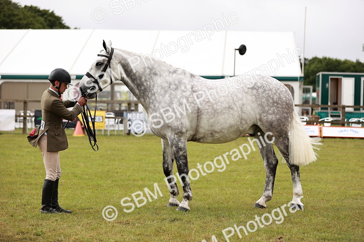 SBM_10946 - Class 81-84 - RIHS Ridden hunters Inc Ladies Hunter