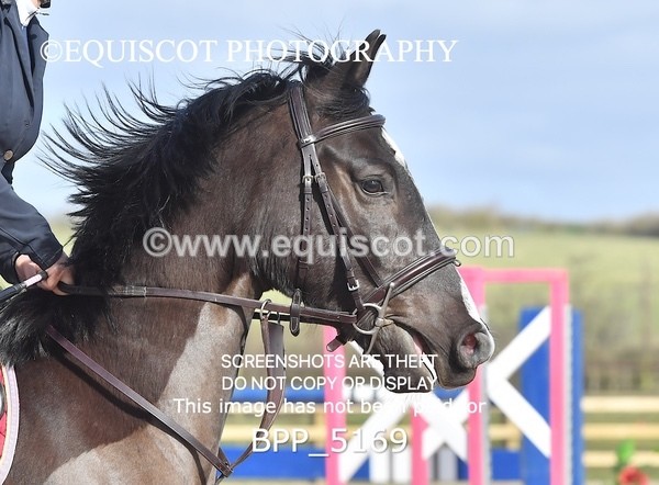 BPP_5169 - CLASS 2 Club/ Unaffiliated 80cms Open