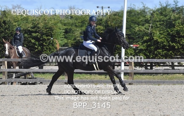 BPP_3145 - CLASS 14  Senior Newcomers/ 1.10m Open