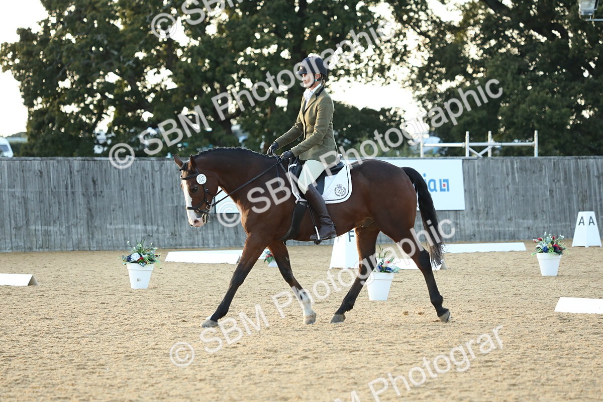 SBM_31122 - D20 - Grand Tour Championship - Elementary 44
