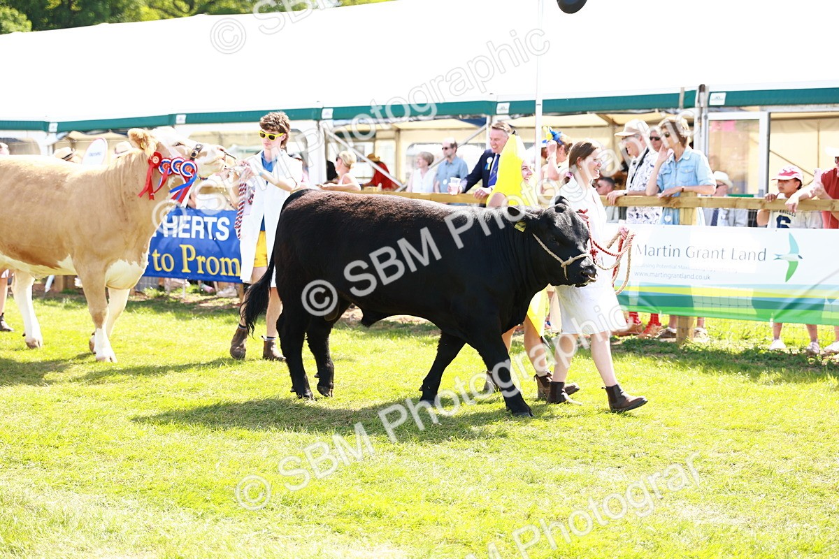 SBM_08431 - Grand Parade