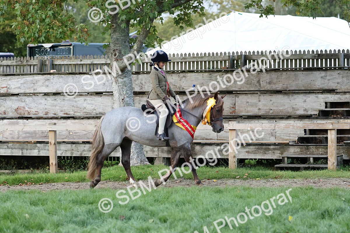 SBM_53403 - Super Supreme Championship (Sat)