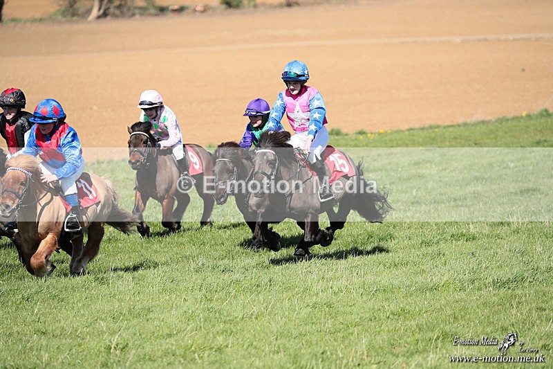 Shet 060426 279 - Shetland Pony Racing Paxford Races Easter Mon 06/04/26