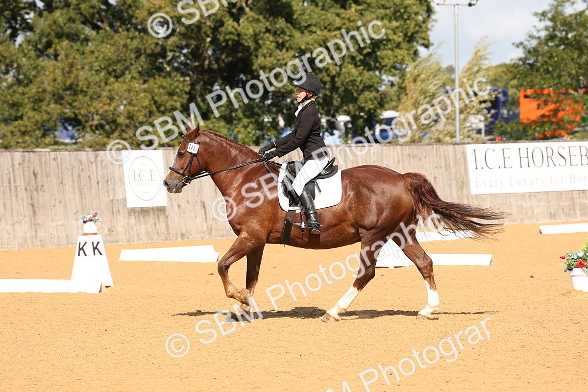 SBM_02487 - D10 - Small Tour Championship Prelim 2