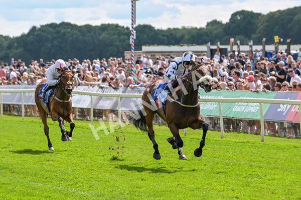 140625-Race 3-Al Qareem-2476 - Race 3 3.00pm Sky Bet Race To The Ebor Grand Cup Stakes