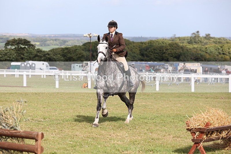 JPP_2673 - Class 20: Working Hunter 70cm