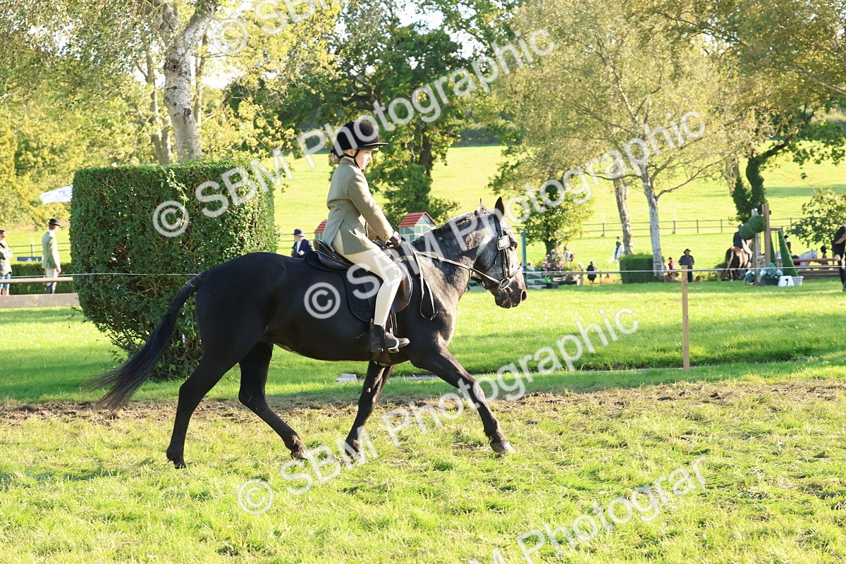 SBM_52998 - S29 - Mature Veteran Ridden