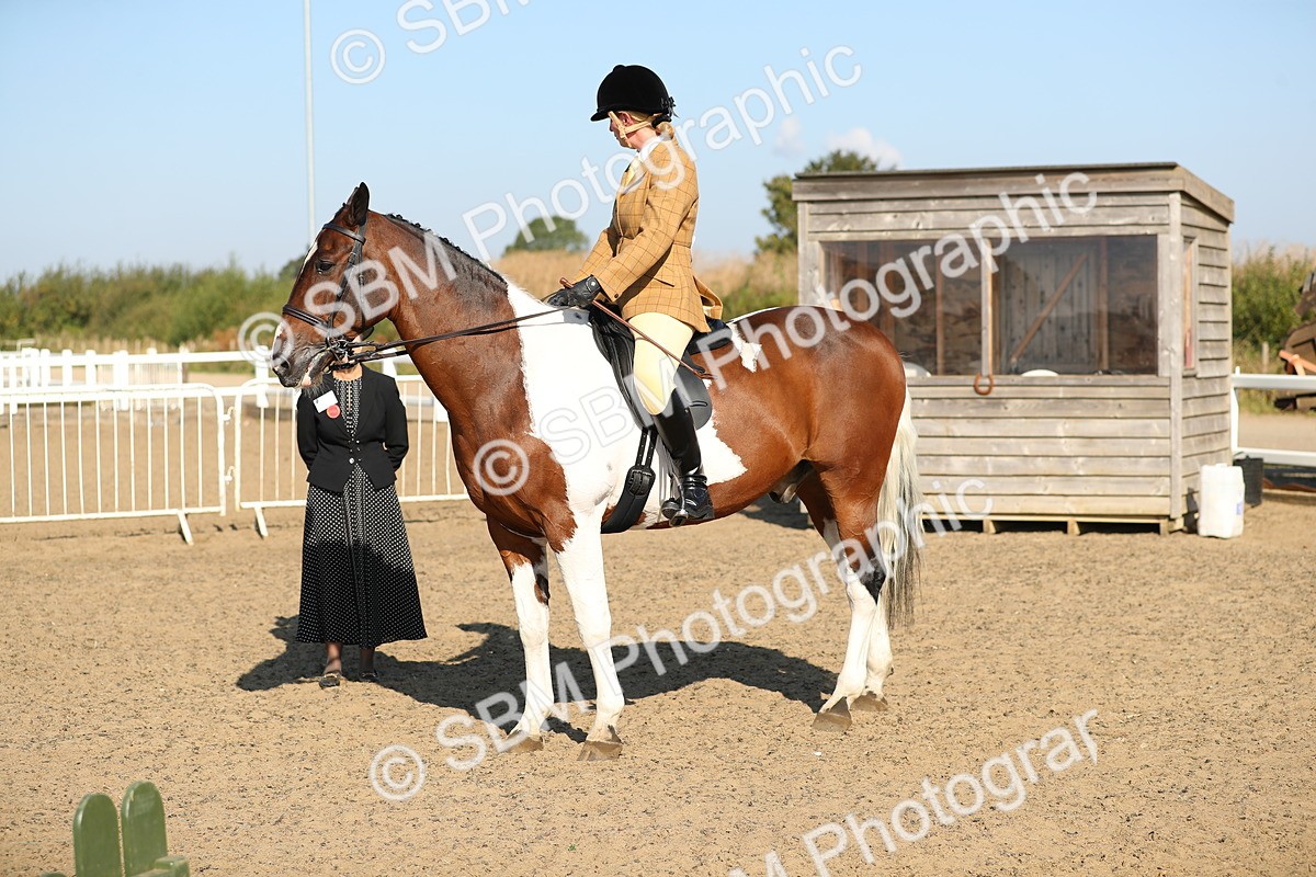 SBM_01218 - Class 42 Ridden Veteran