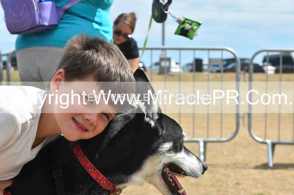 SH4_0115 - Dog show.