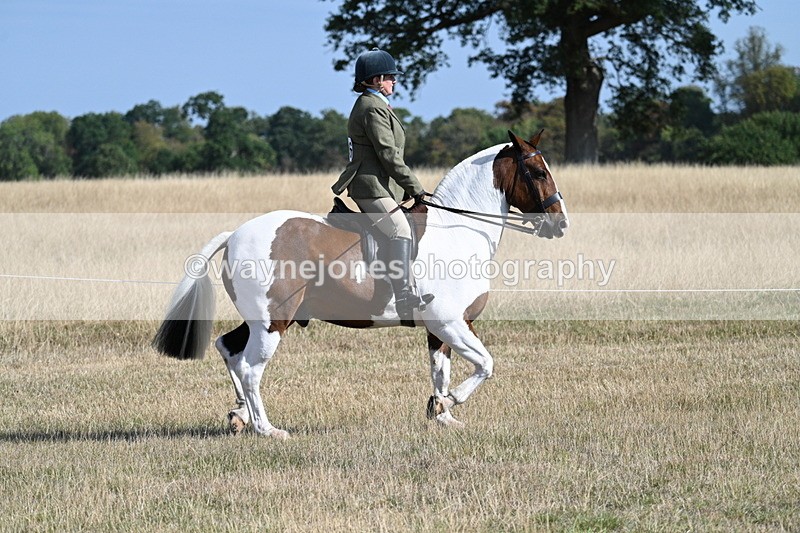 WJ7_2806 - Class 8 Ridden Tack & Turnout