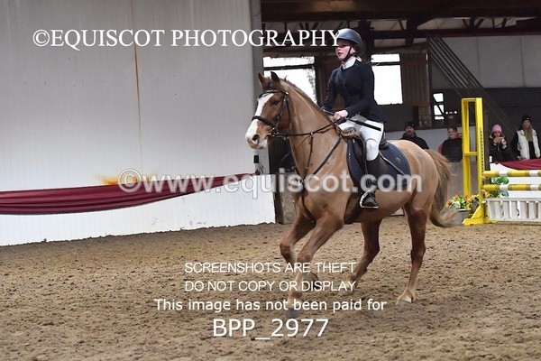 BPP_2977 - CLASS 3 BS PONY Pony British Novice / 0.80m Open